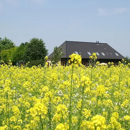 鲁金博夫住宿加早餐旅馆