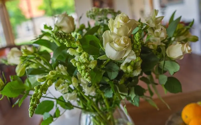 Couette-café De Luijenbergh